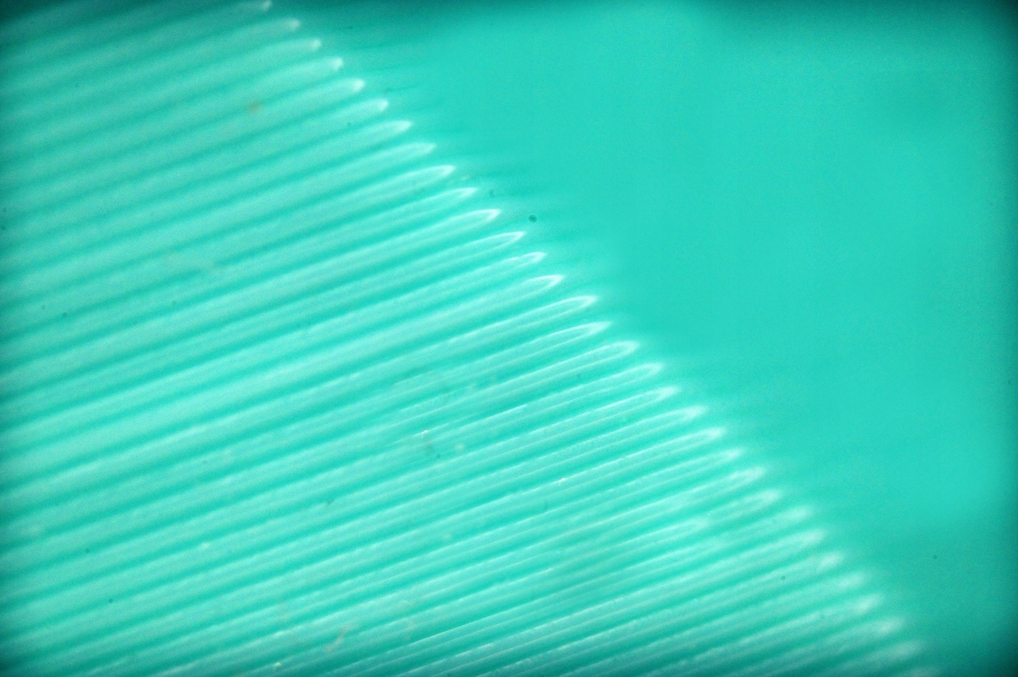 Filament Print me PLA Zielony (GREEN)